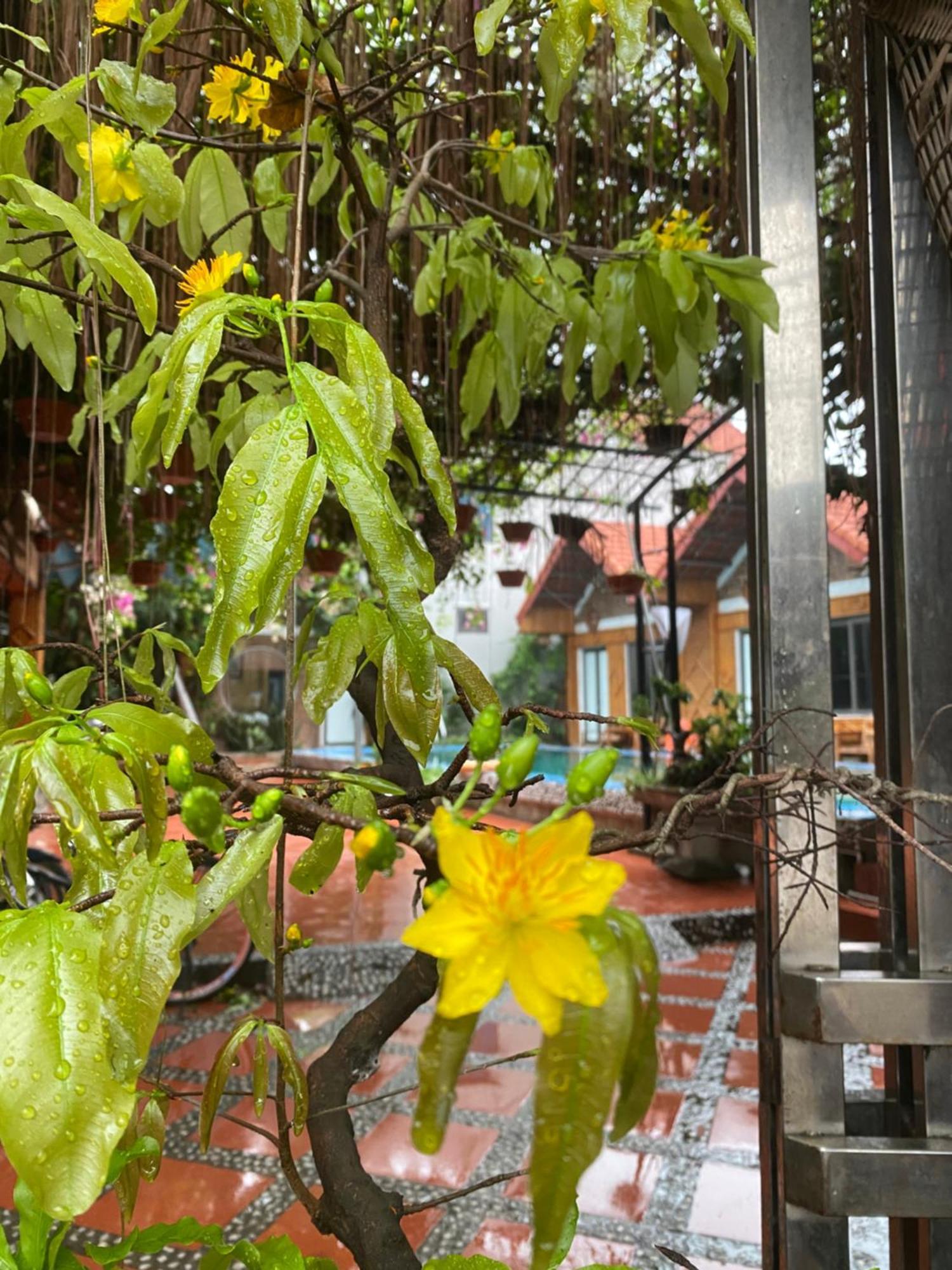 Tam Coc Charming Bungalow Ninh Bình Exteriör bild