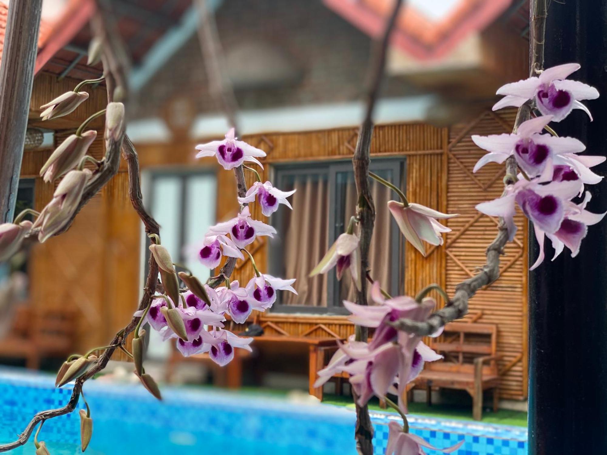 Tam Coc Charming Bungalow Ninh Bình Exteriör bild