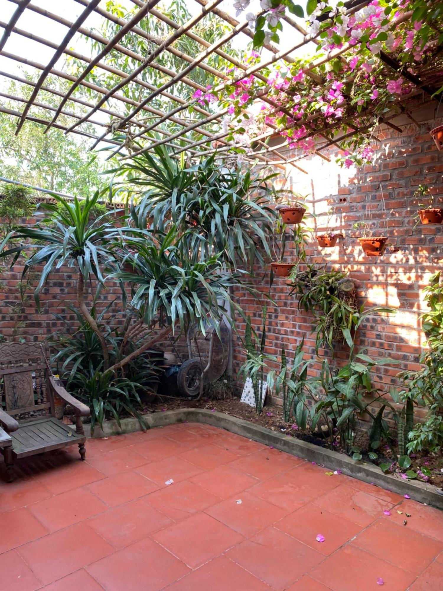 Tam Coc Charming Bungalow Ninh Bình Exteriör bild