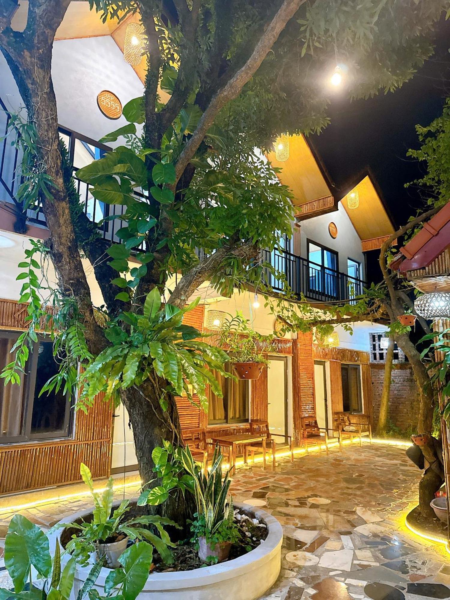 Tam Coc Charming Bungalow Ninh Bình Exteriör bild