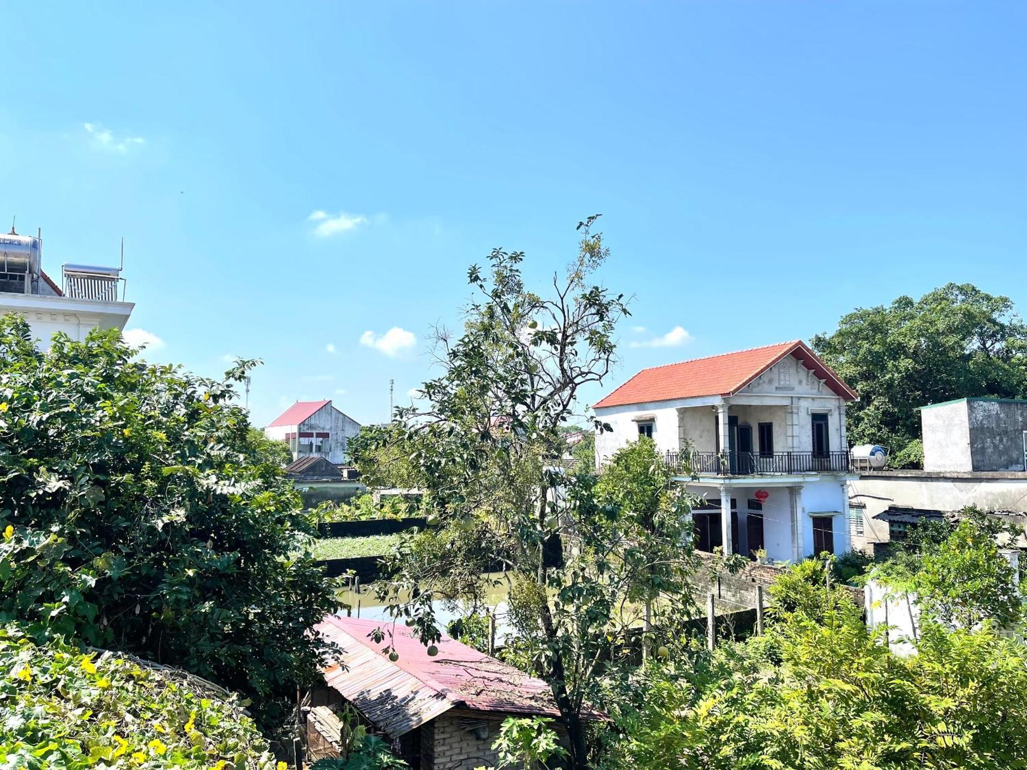 Tam Coc Charming Bungalow Bed and Breakfast Ninh Bình Exteriör bild